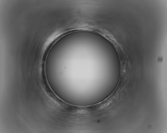 X0000090860344200708171610