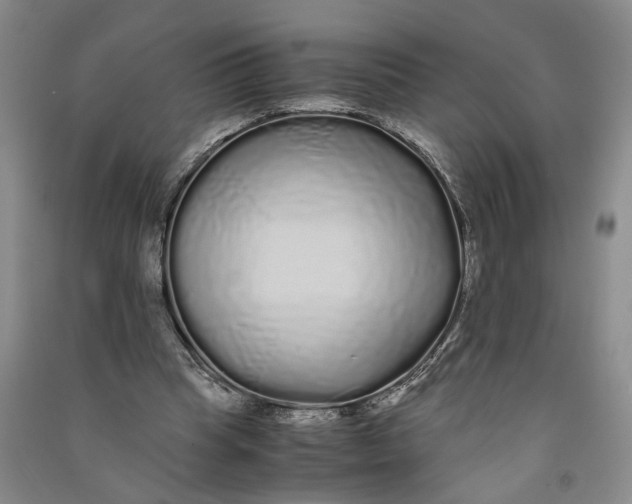 X0000090860345200708171610