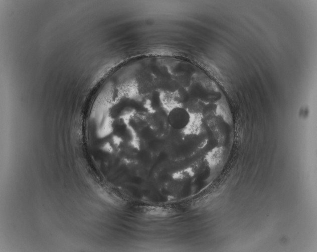 X0000090860347200708171610