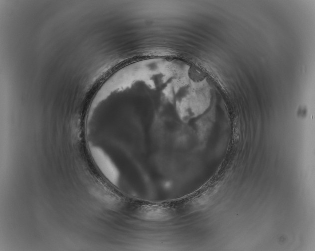 X0000090860351200708171610