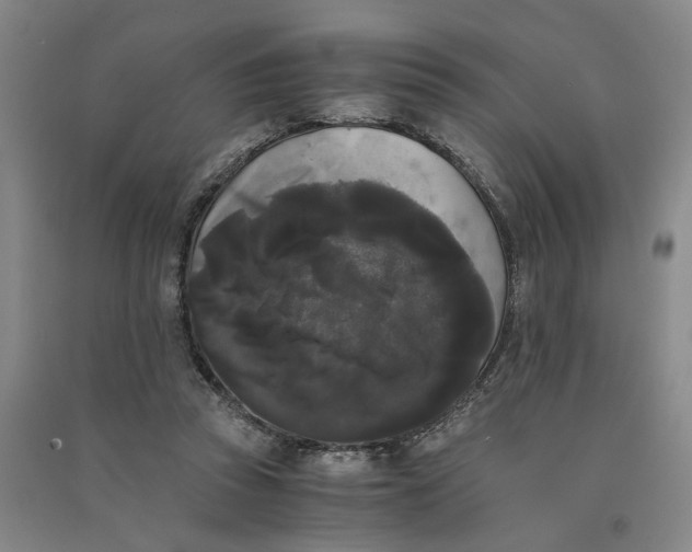X0000090860353200708171610