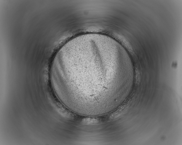 X0000090860354200708171610