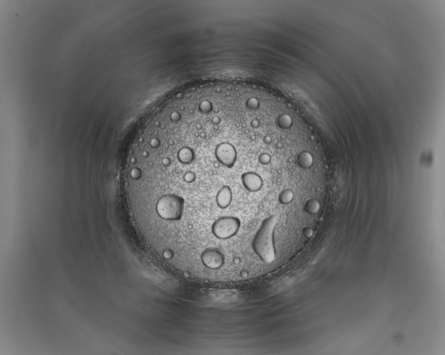 X0000090860355200708171610