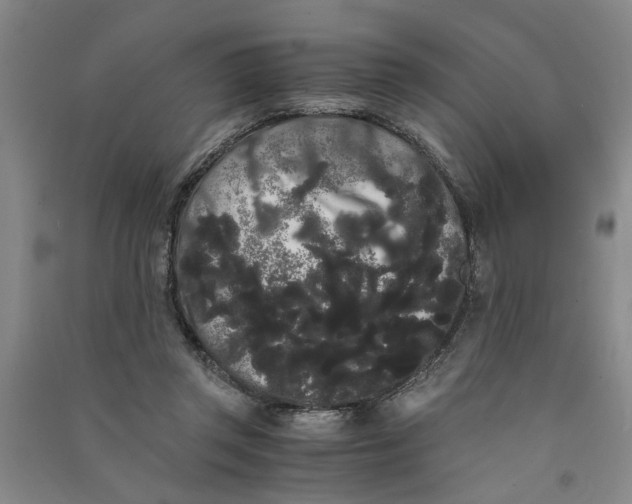 X0000090860357200708171610