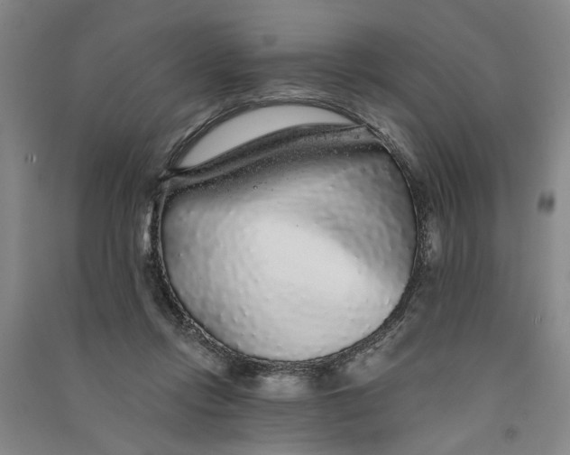 X0000090860358200708171610