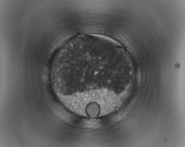 X0000090860359200708171610