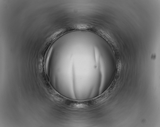 X0000090860360200708171610