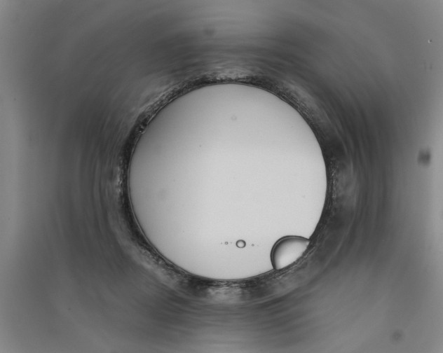 X0000090860362200708171610