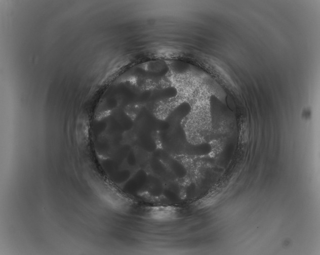 X0000090860363200708171610