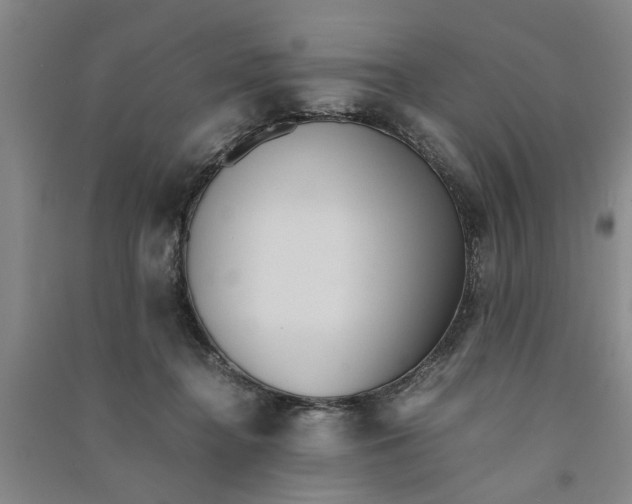 X0000090860364200708171610