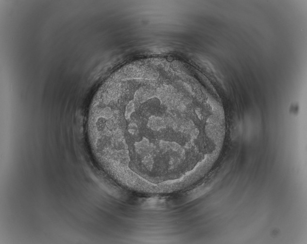 X0000090860366200708171610