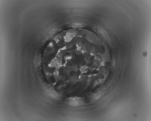 X0000090860367200708171610