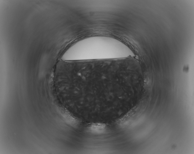 X0000090860369200708171610