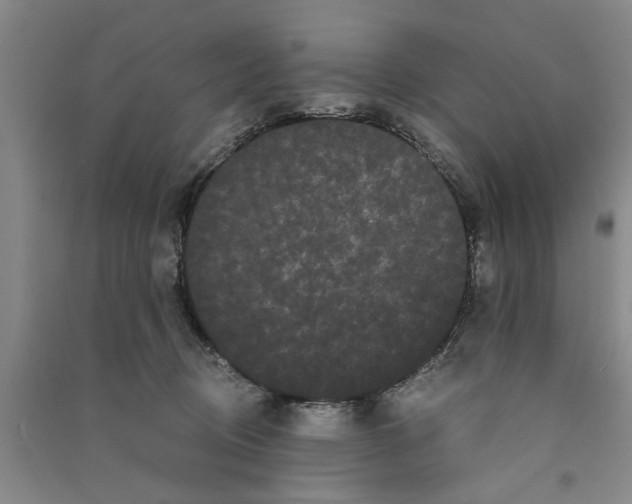 X0000090860370200708171610