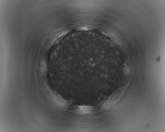 X0000090860371200708171610