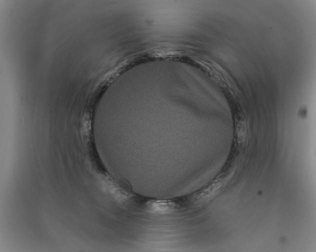 X0000090860372200708171610