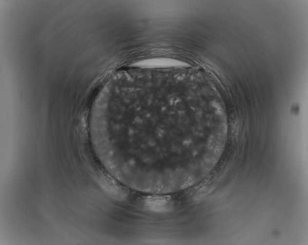 X0000090860373200708171610