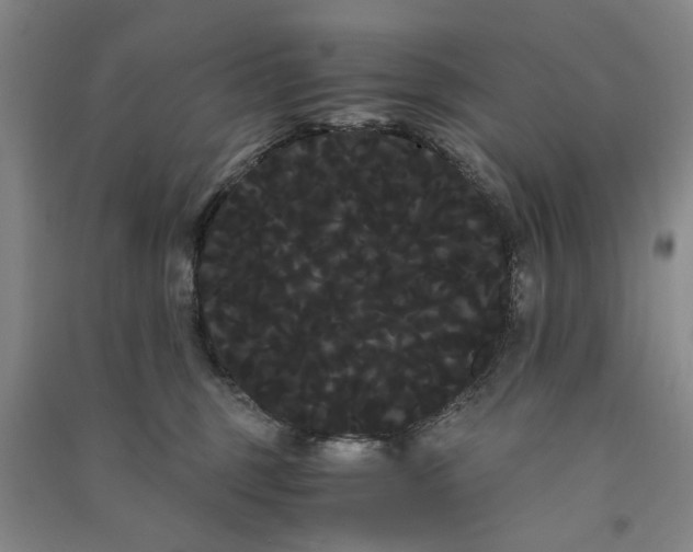 X0000090860375200708171610