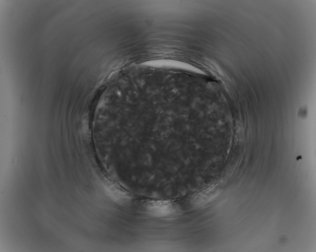X0000090860377200708171610