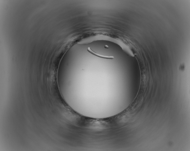 X0000090860379200708171610
