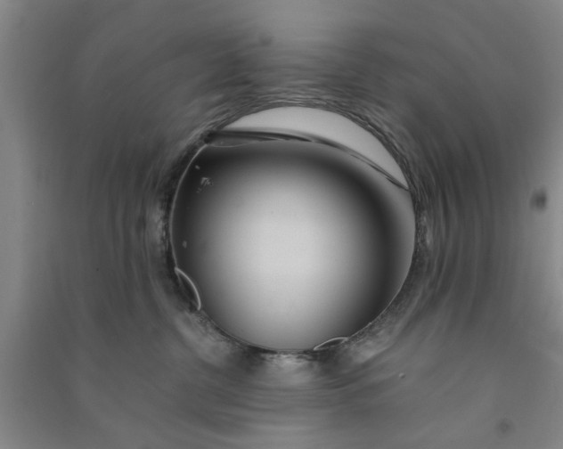 X0000090860380200708171610