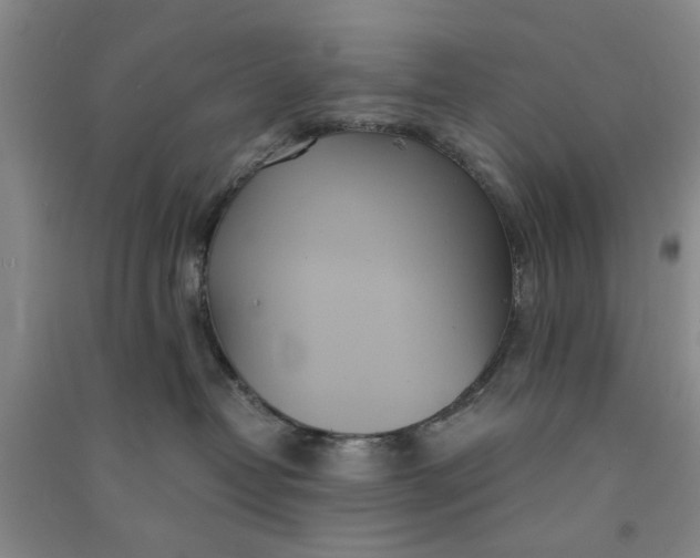 X0000090860382200708171610