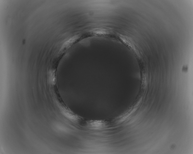 X0000090860383200708171610