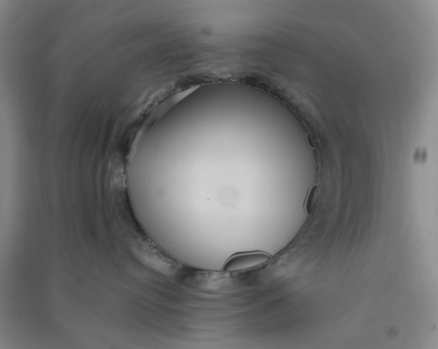 X0000090860384200708171610