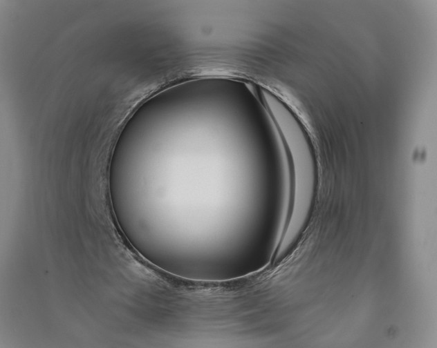X0000090860385200708171609