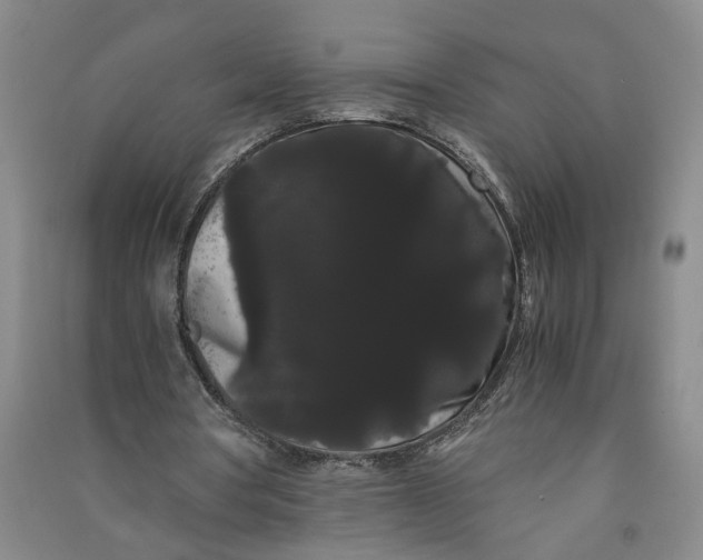 X0000090860386200708171609