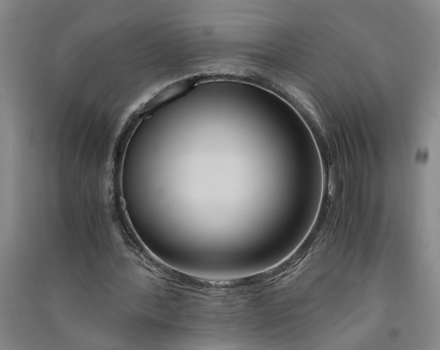 X0000090860388200708171609