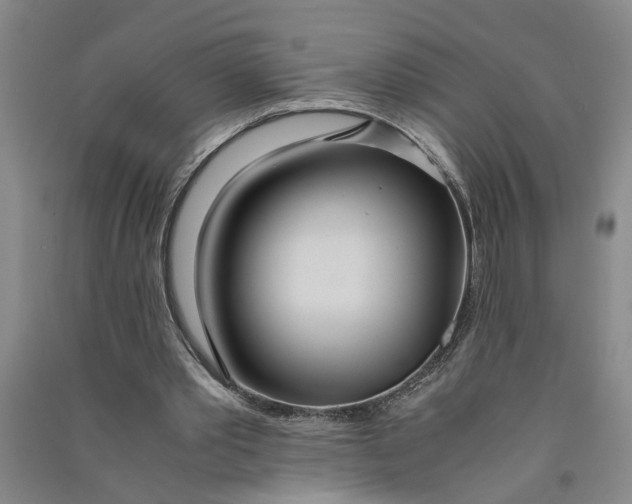 X0000090860389200708171609