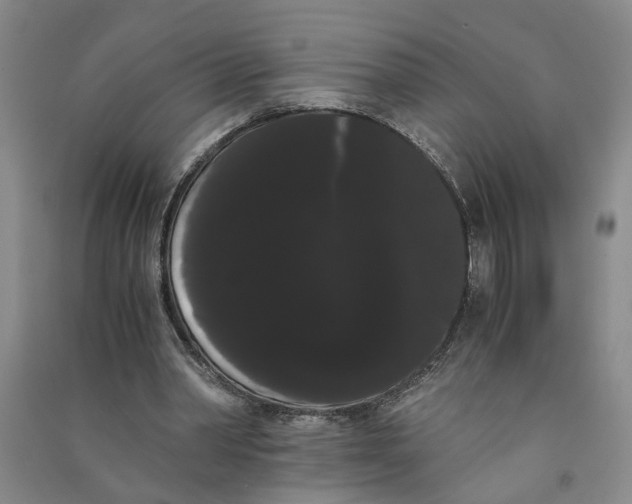 X0000090860390200708171609