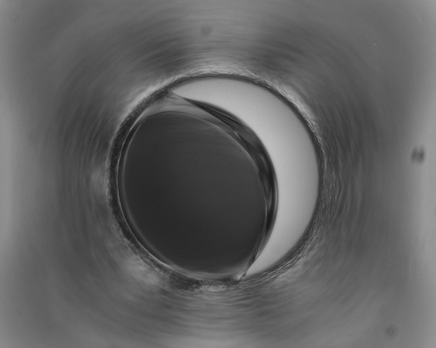 X0000090860391200708171609
