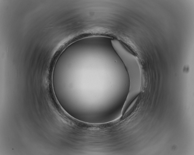X0000090860392200708171609