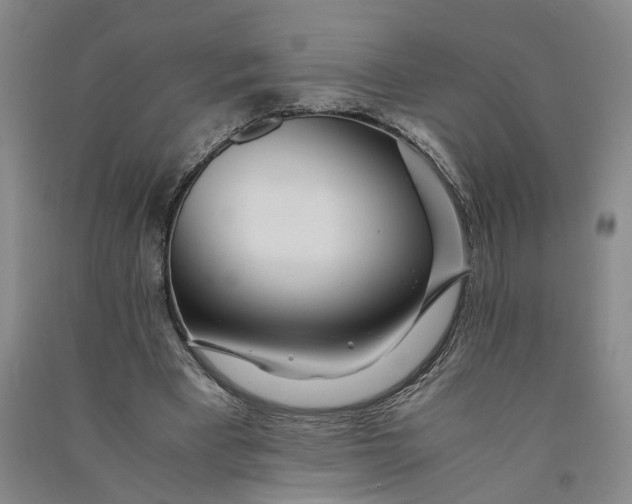 X0000090860393200708171609