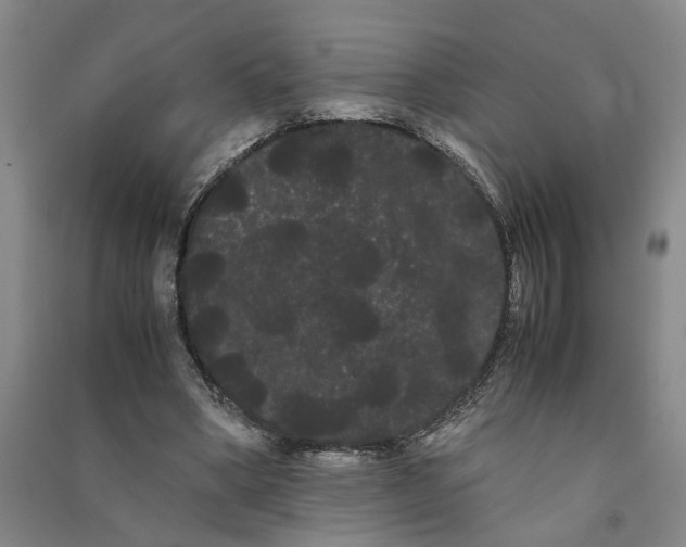 X0000090860394200708171609