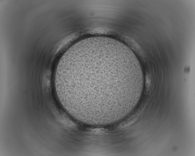X0000090860396200708171609