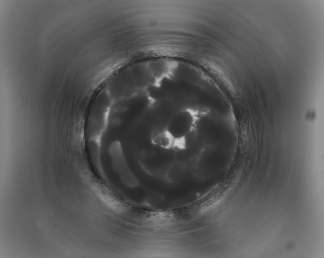 X0000090860398200708171609