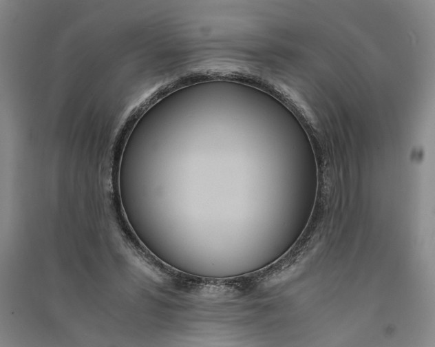 X0000090860399200708171609