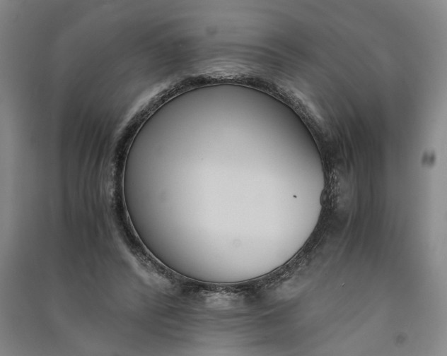 X0000090860400200708171609