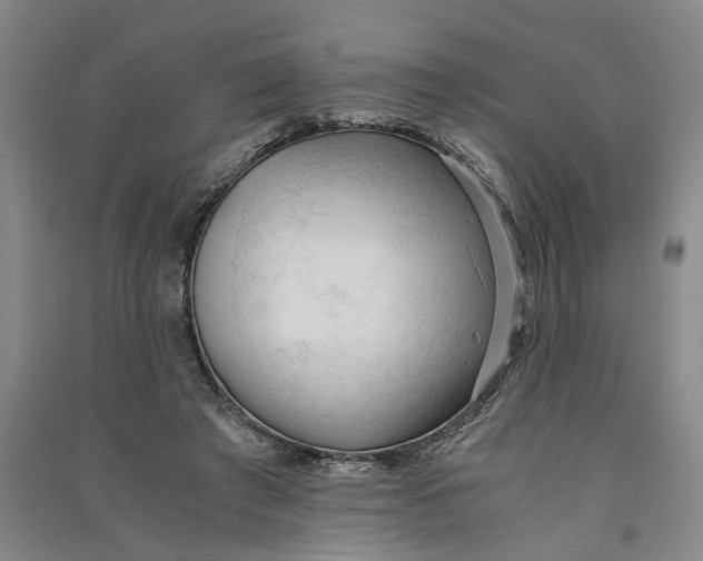 X0000090860401200708171609