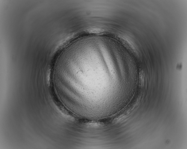 X0000090860404200708171609