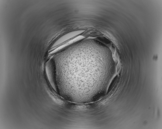 X0000090860405200708171609