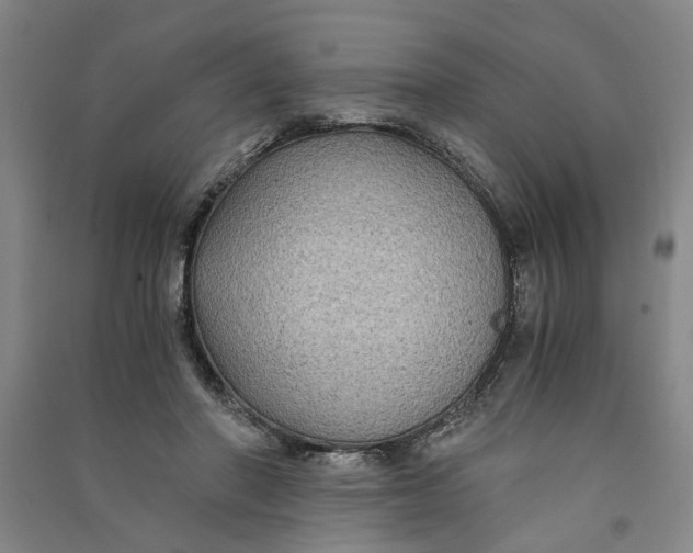 X0000090860406200708171609