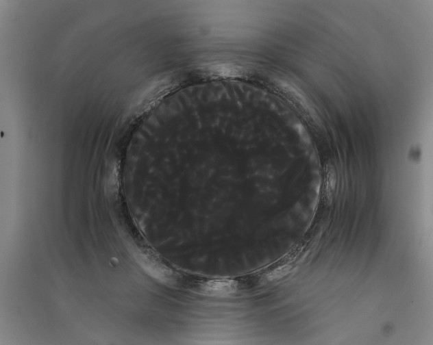X0000090860410200708171609