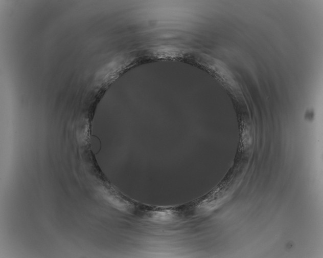 X0000090860411200708171609