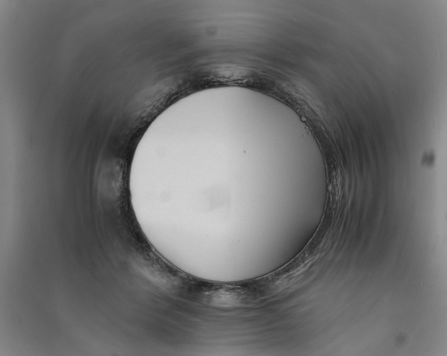 X0000090860412200708171609