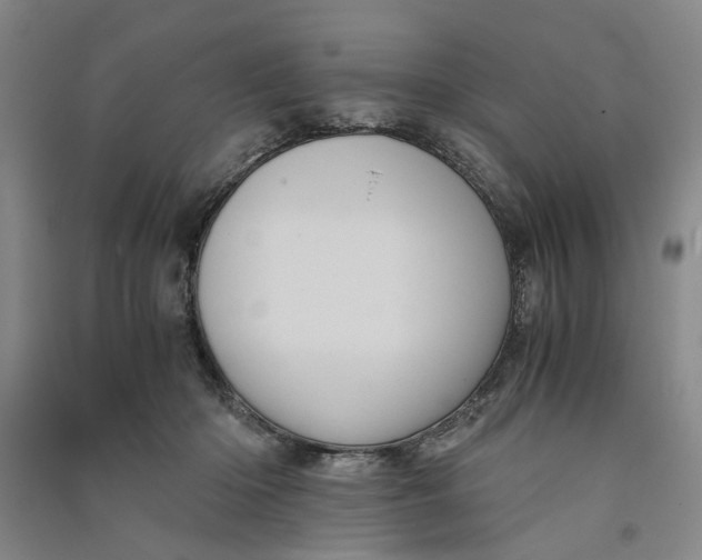 X0000090860414200708171609