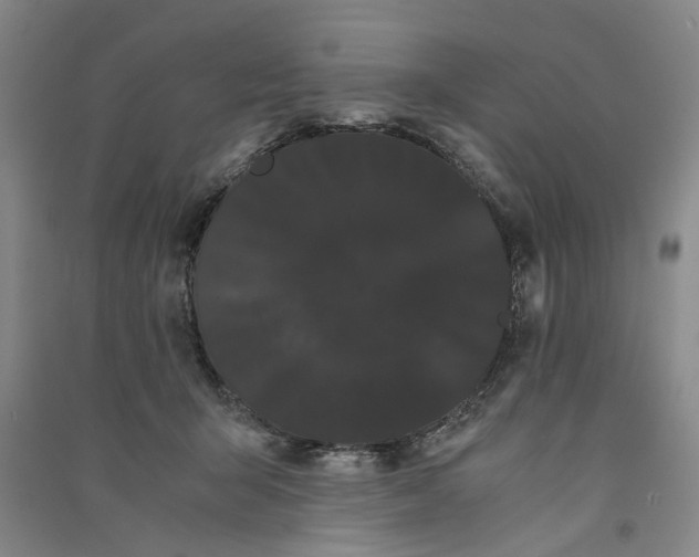 X0000090860415200708171609